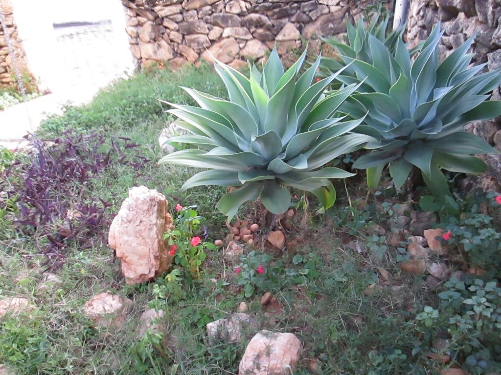 Pousada As Reliquias De Minas Tiradentes Esterno foto
